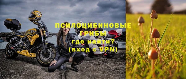спайс Арсеньев