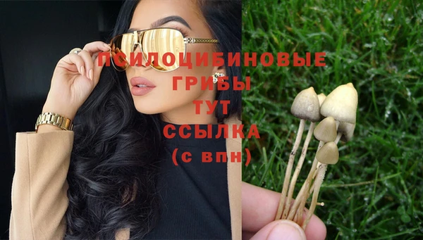 сатива Аркадак