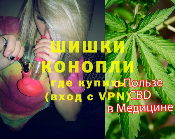 шишки Протвино