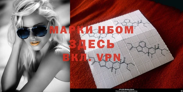 сатива Аркадак