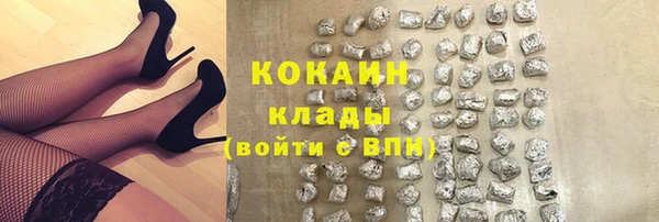 сатива Аркадак
