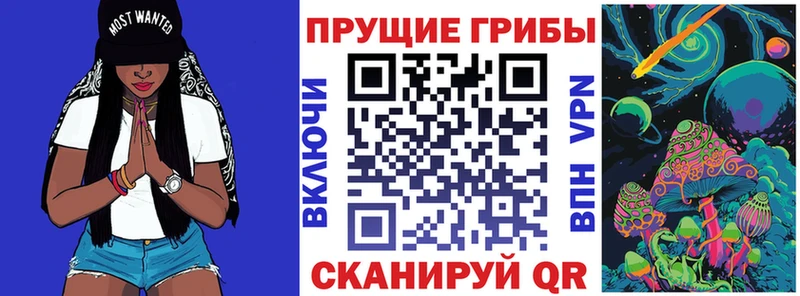 kraken ТОР  Кирово-Чепецк  Галлюциногенные грибы Psilocybe  где купить наркотик 